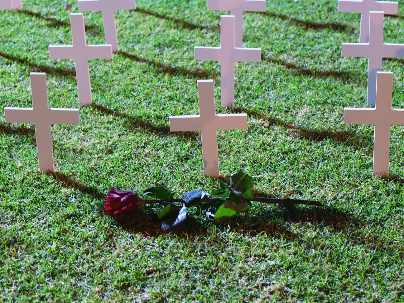 Abortion Euphemisms Running Riot